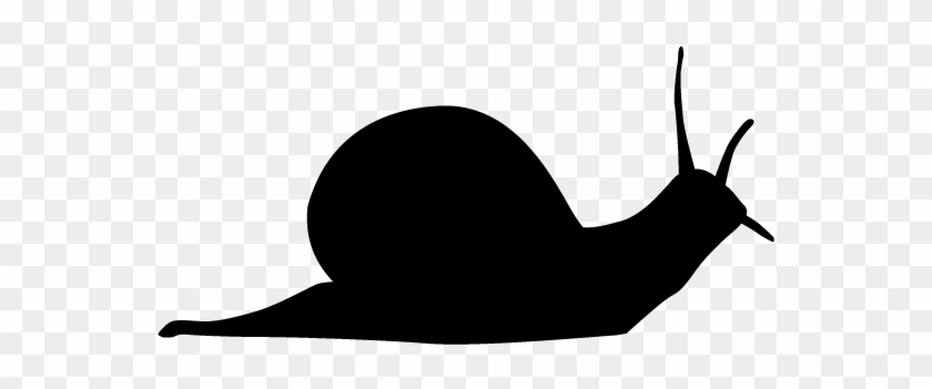 View All Images-1 - Clip Art #901344
