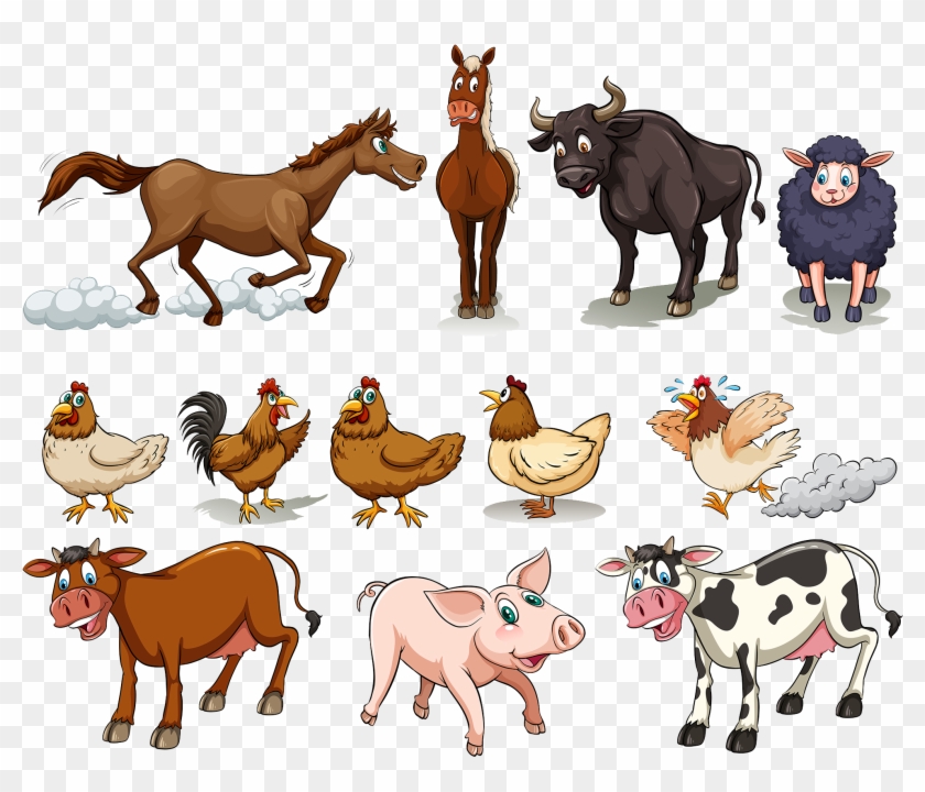 Cattle Chicken Sheep Domestic Pig Horse - Different Kinds Of Farm Animals #903116