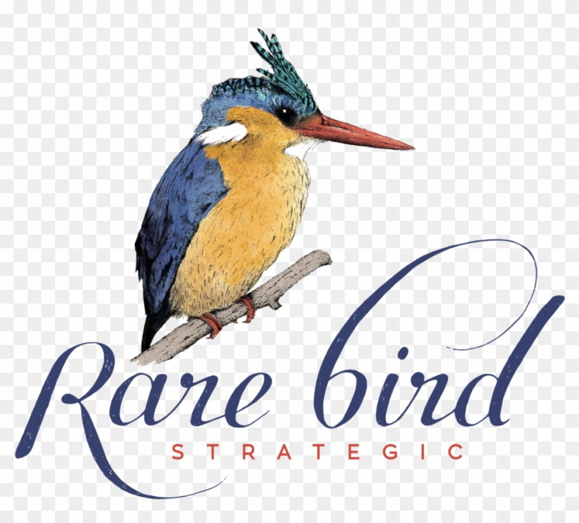   Bird #903312