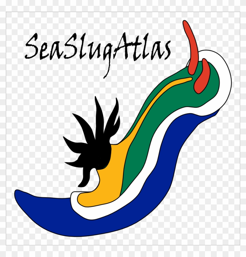 Seaslugatlas Logo V1 Text - Seaslugatlas Logo V1 Text #903336
