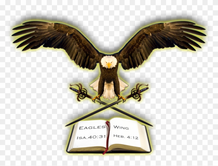 Eagles #903590