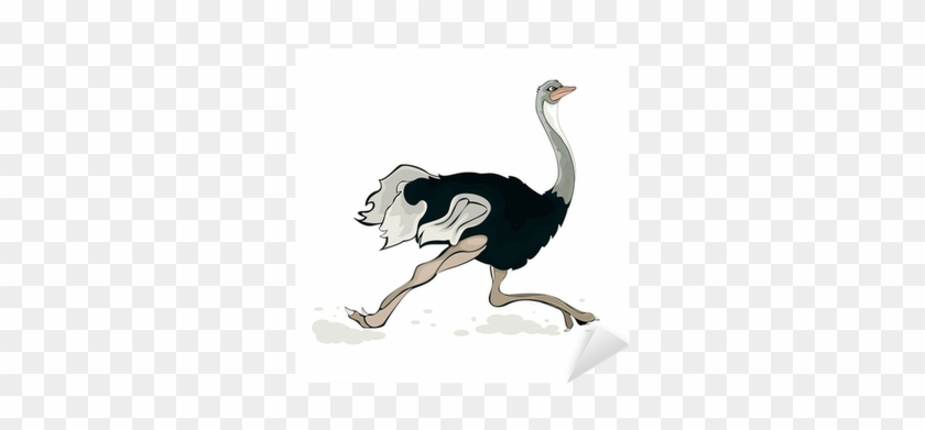 5in X Ostrich On Board Animals Bumper Sticker Vinyl #903601