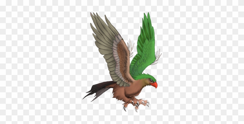 Roc Emeraldbicolor - Clan #903659