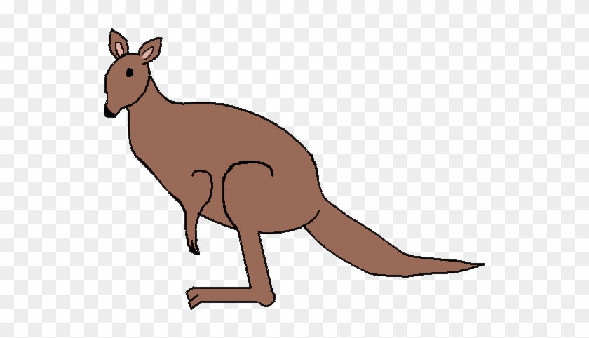 Australian Clipart Kangaroo Clipart - Animated Kangro Clipart Gif #904248