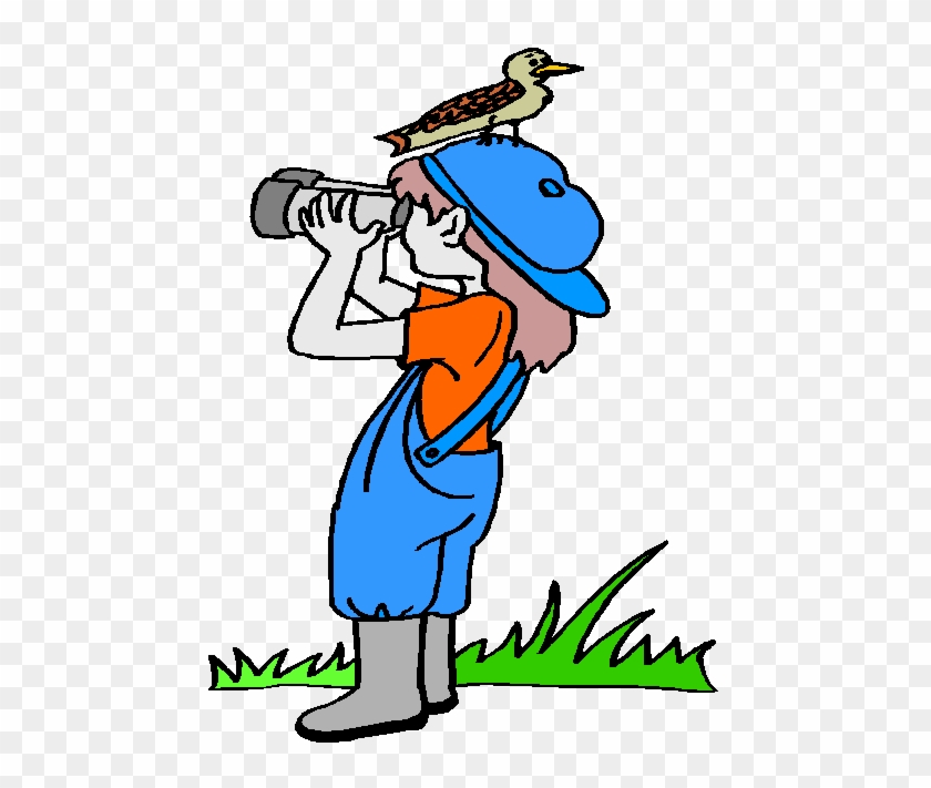 Bird Watching Clipart Free - Clip Art #904407