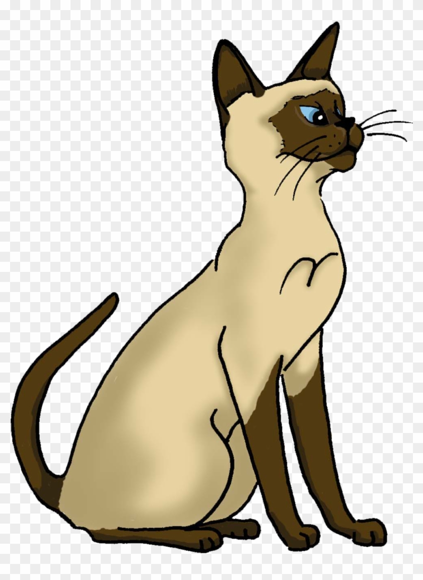 Sitting Siamese Cartoon By Lynn Buchanan - Siamese #904414