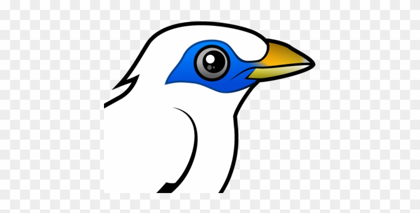Cute Bali Mynah By Birdorable Lt Meet The Birds - The Birds #904426