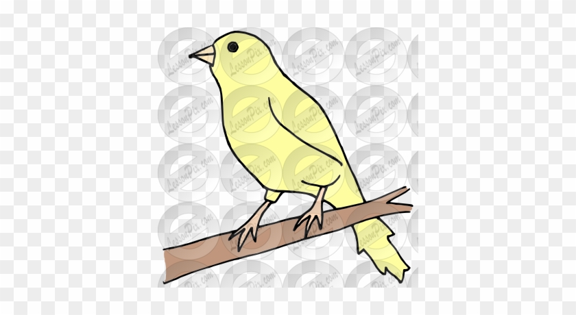 Finch Clipart Canary - Clip Art #904429