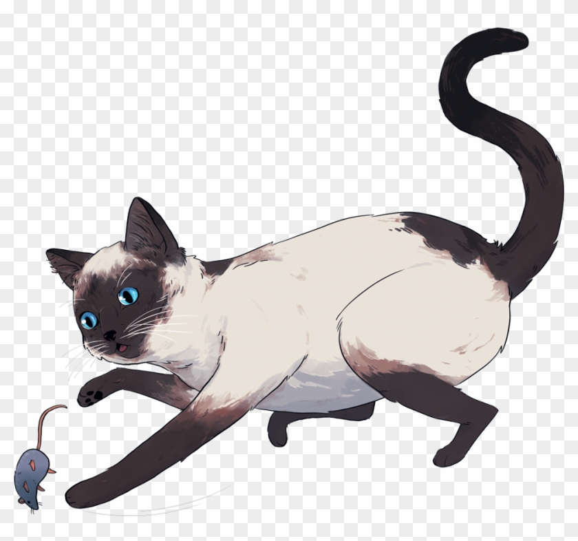 With An Oral Pill With Cats Giving Revolution Each - Siamese #904455