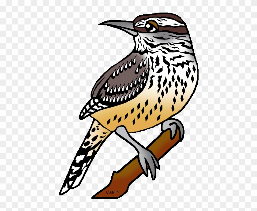 Wren Clipart Small Bird - Cactus Wren Clip Art #904973