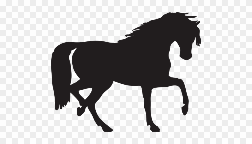 At Siluet Vektör - Horse Silhouette Clip Art #905291