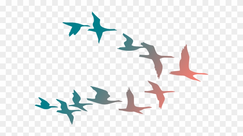 Colorful Birds Flying Clipart #18105
