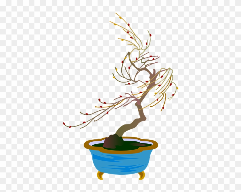 Bonsai #18334
