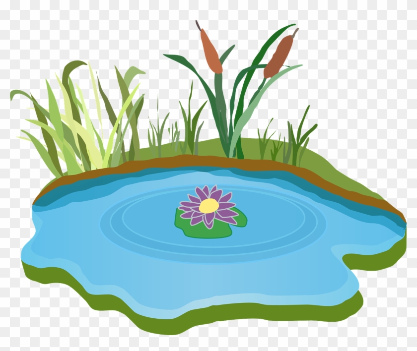 Pond Clipart Rain Water - Lake Clipart #18444