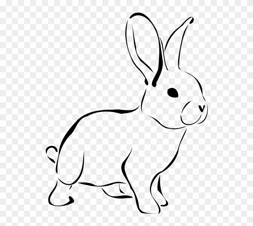 Rabbit Clip Art - Rabbit Clipart Black And White #18529