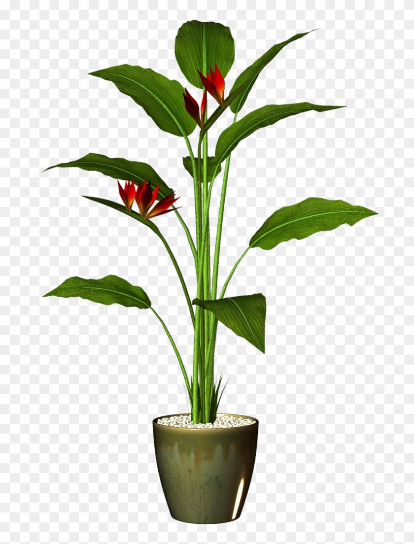 Transparent Pot Plant Png #18538