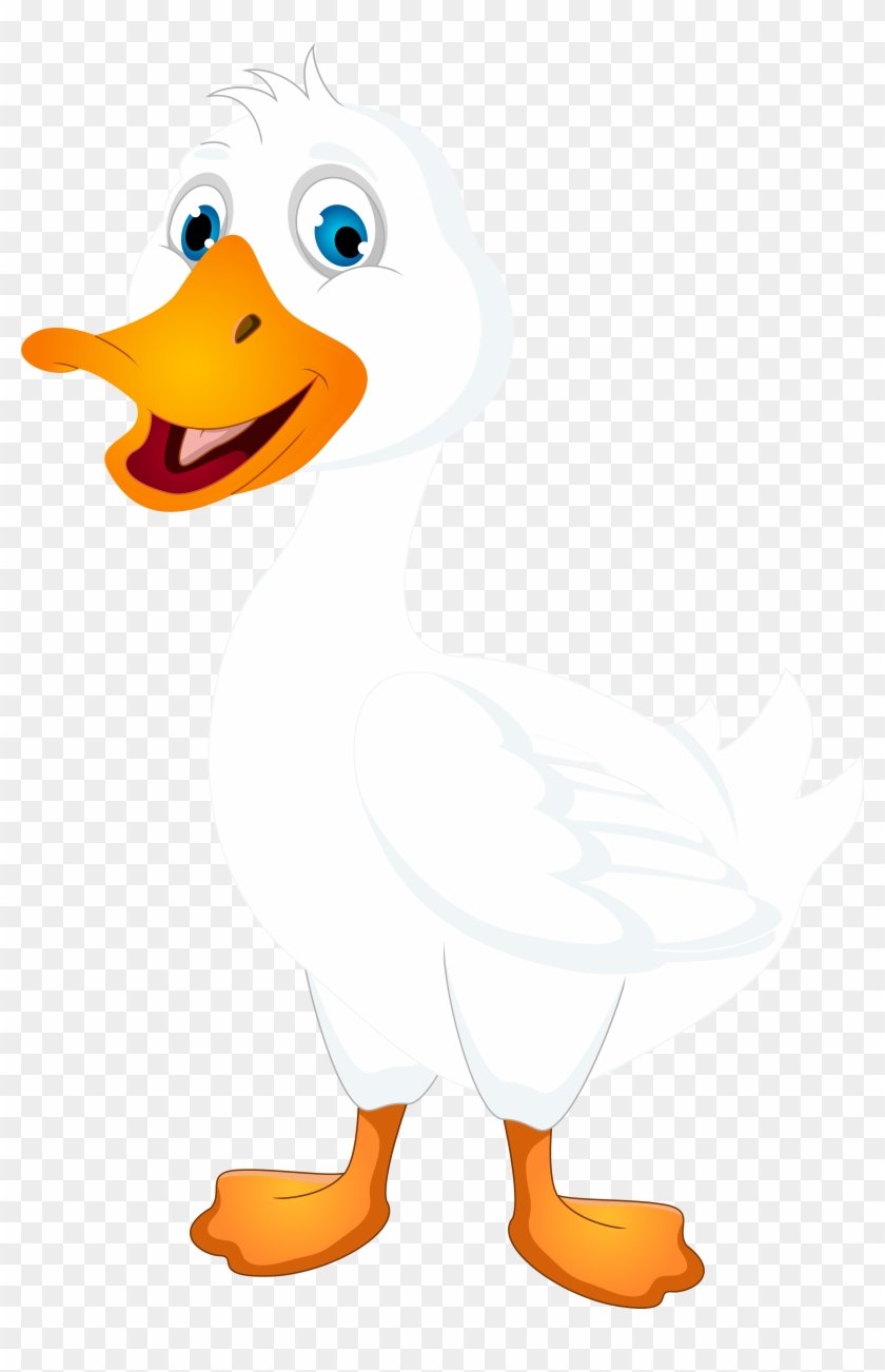 White Duck Cartoon Png Clip Art Image - White Duck Clipart #19387