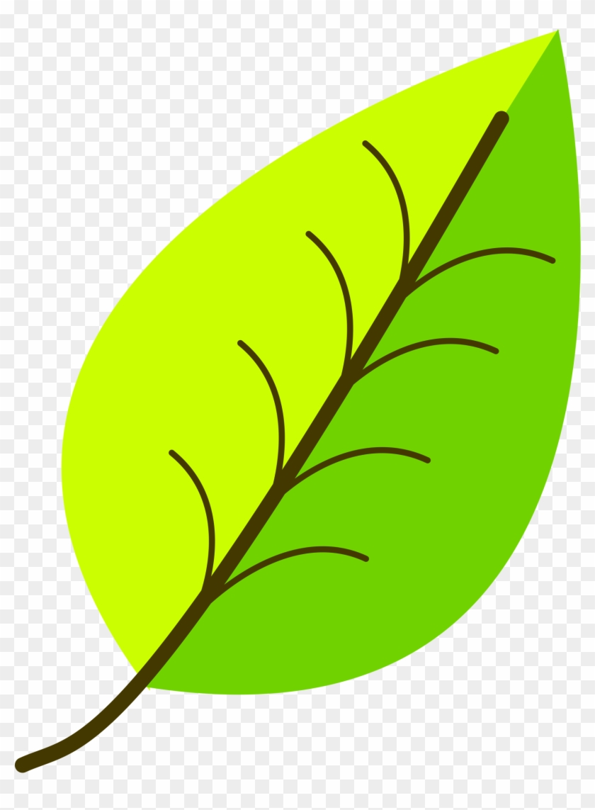 Leaf- With Venation, Two Color - Leaf Clipart Png #20146