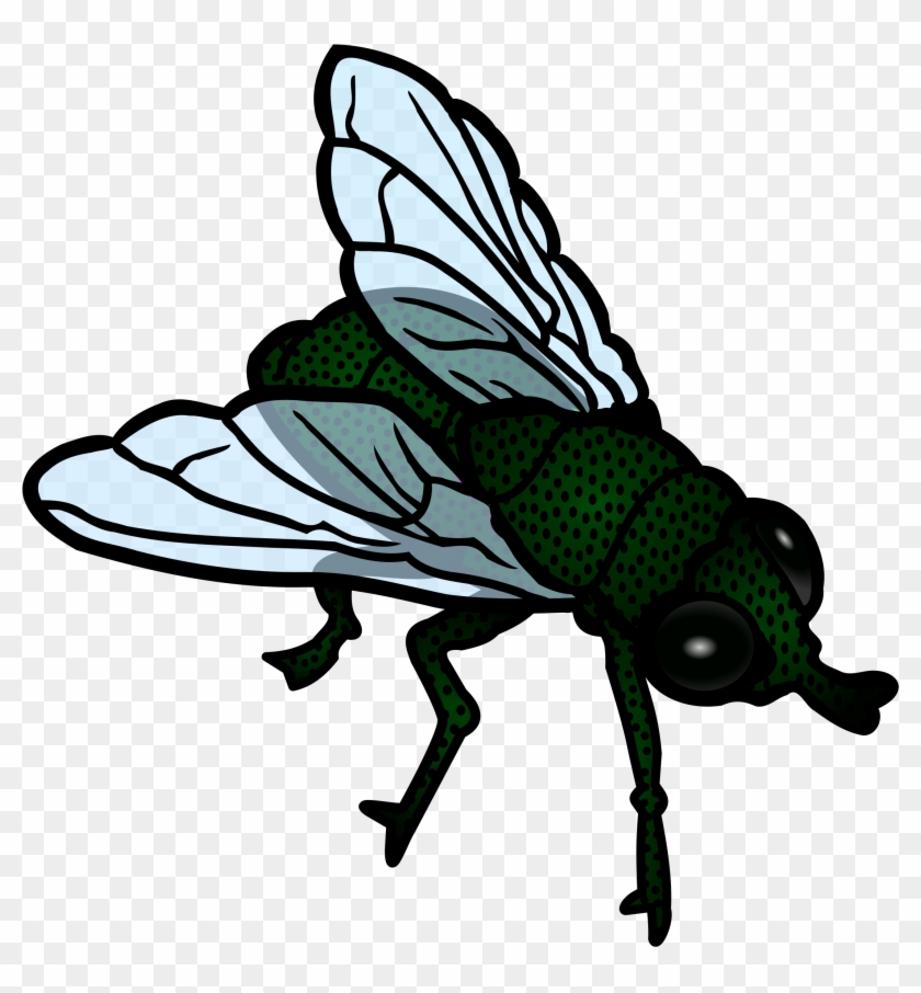Fly Clip Art - Fly Clipart Png #22214