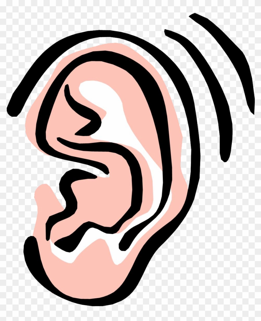 Ear Png Image - Listening Ear Clip Art #24039
