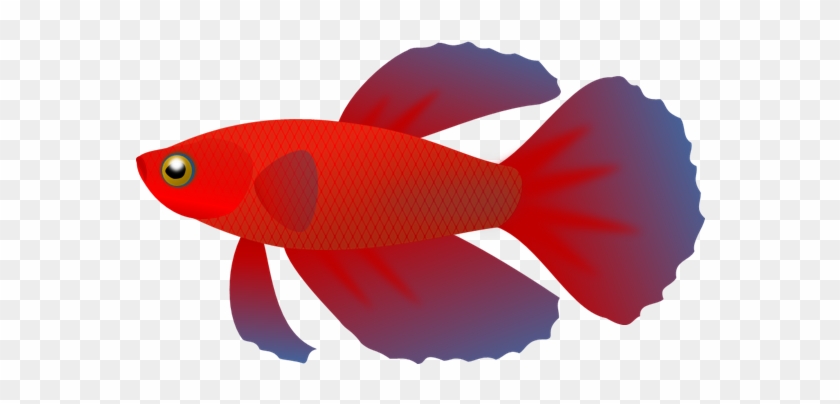 No Fish Cliparts Free Download Clip Art Free Clip Art - Fish Clip Art Transparent Background #24447