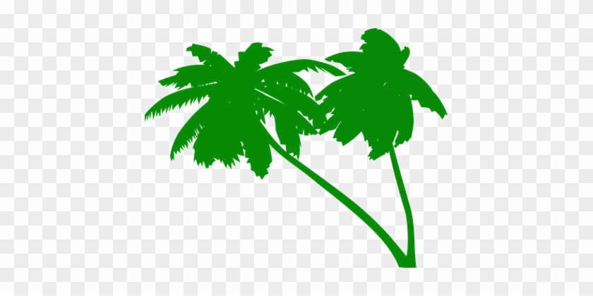 Palms, Coconut Tree, Coconut Palms - Green Palm Tree Vector #25296