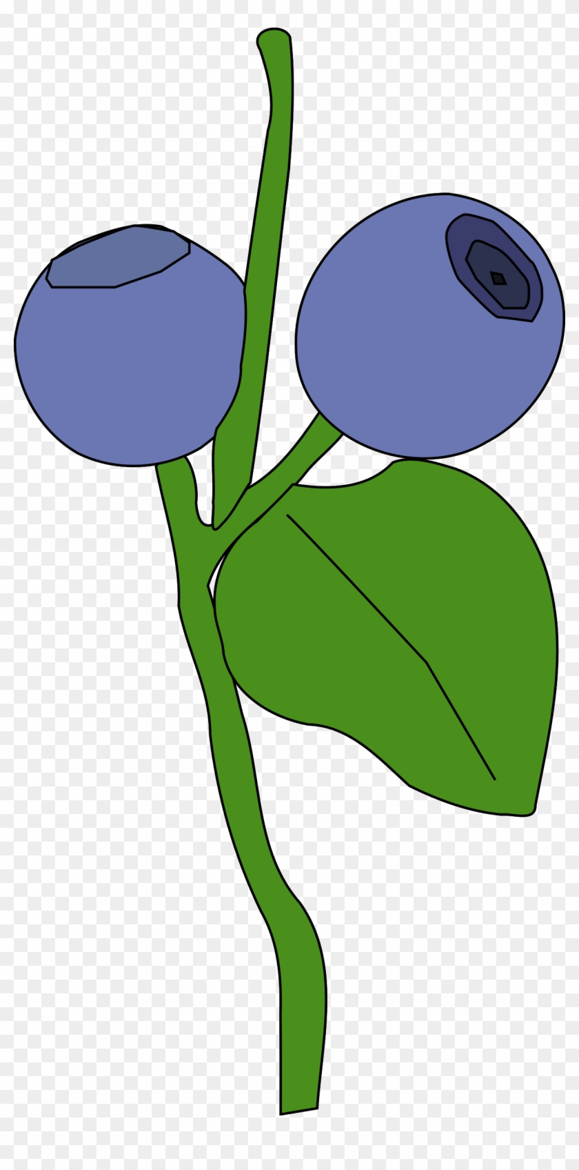 Blackberry Print - Berry Clip Art #25576