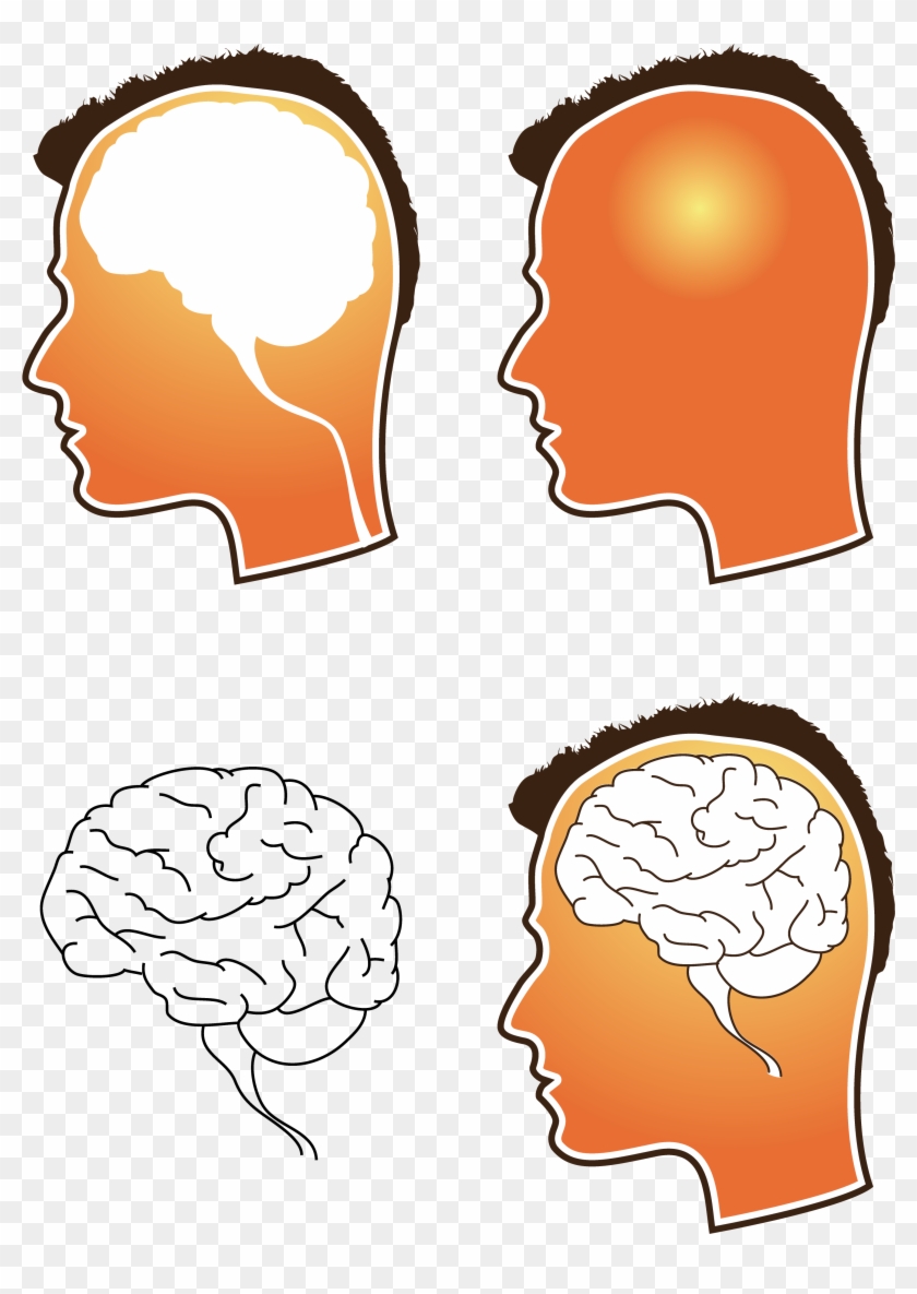 Free Vector Human Brain Vector - Free Vector Brain #164114