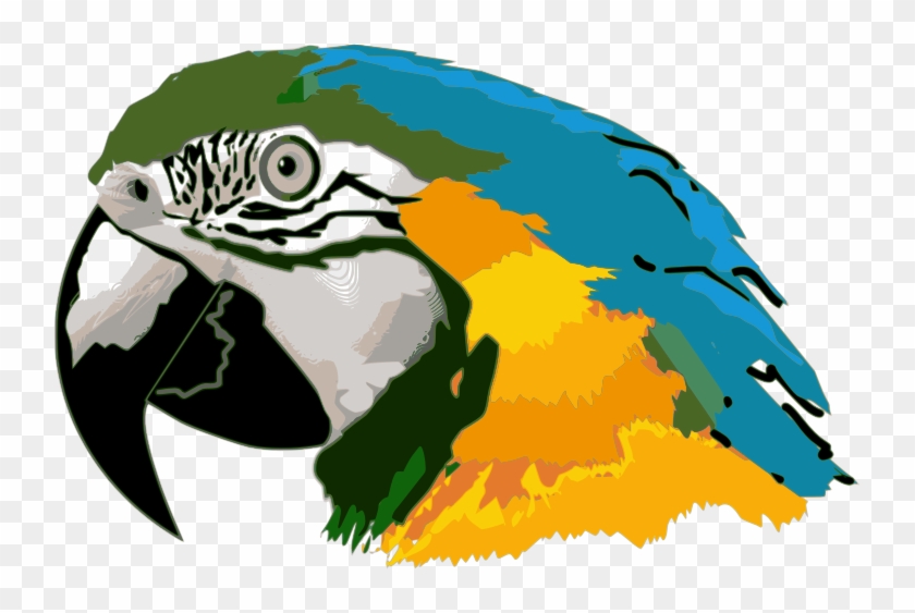 Blue Macaw Clipart - Parrot Head Clip Art #164794