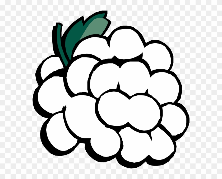 Grapes Black And White Clipart Clipart Kid - Clip Art Black And White Grapes #167713