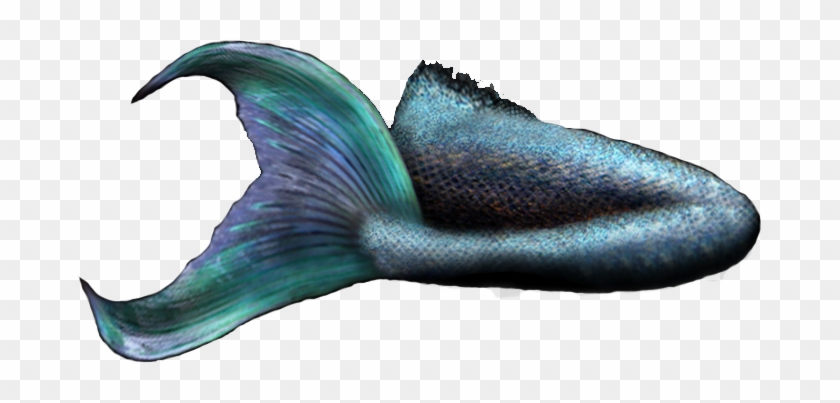 Mermaid Tail 2 Officialpsds - Real Mermaid Tail Png #906682
