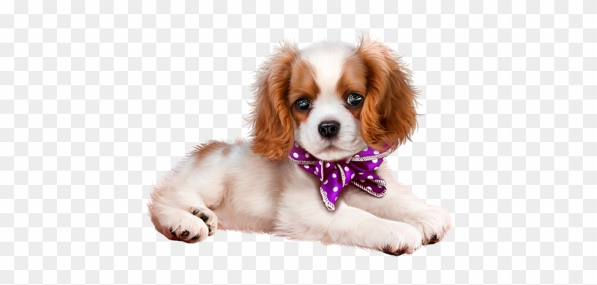 Dog - Portable Network Graphics #908752