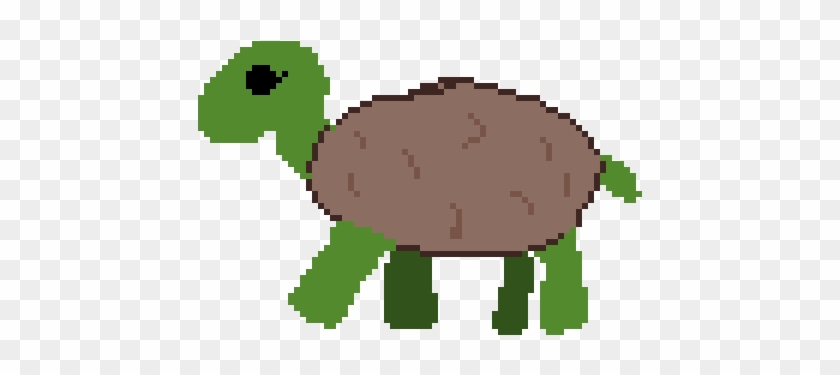 Random Image From User - Tortoise #908753