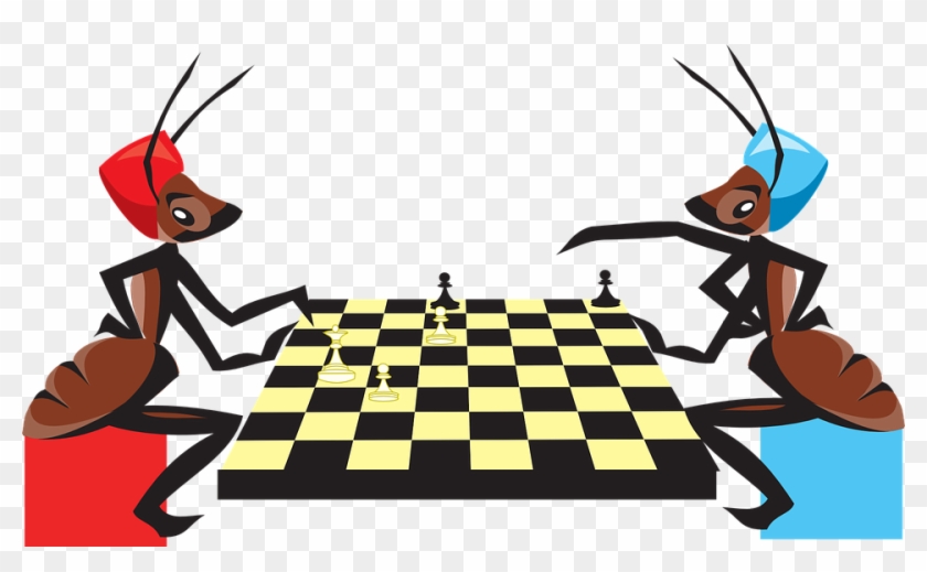 I Thought You Were Smarter Than That Source - Science Trivia About Insects #908798