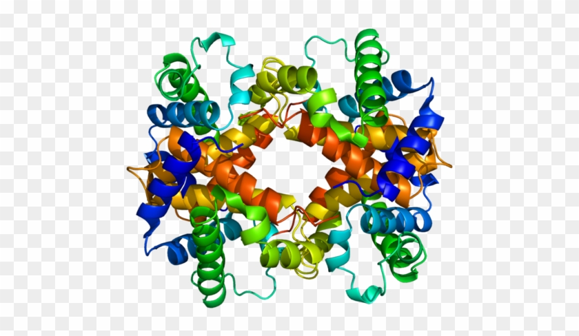 Available Structures - Beta Globulin 3d Structure #908905