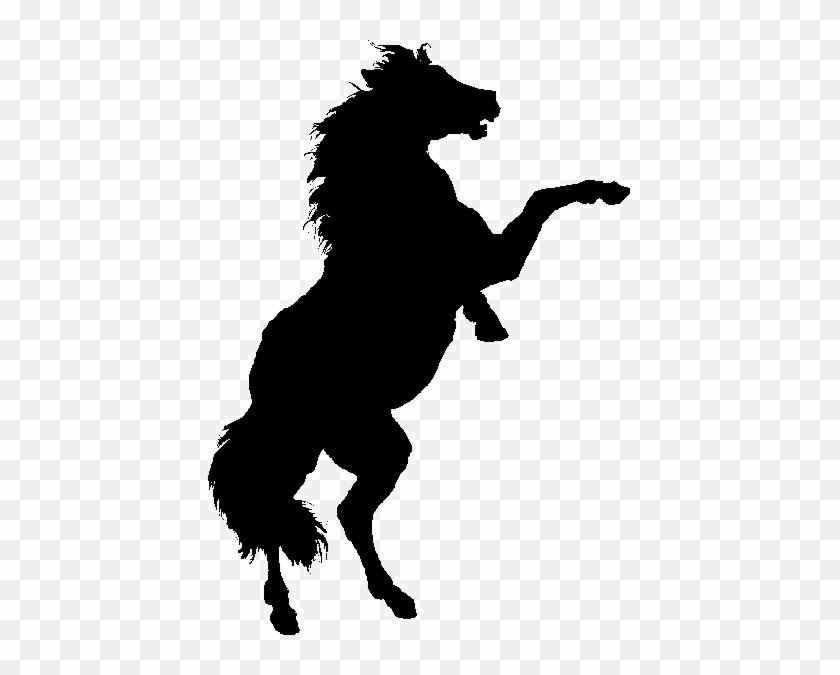 Norfolk Equine Veterinary Services Is An Equine Practice - Horse Standing On Back Legs #909104