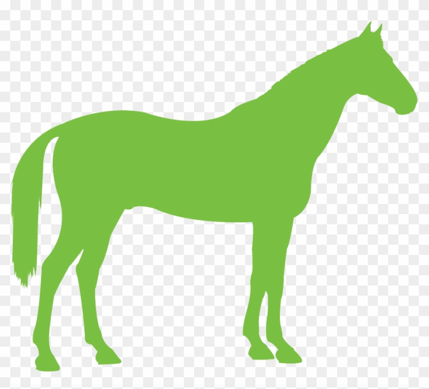 Congratulations To The Following Winners Of A Place - Horse Icon Grey #909149