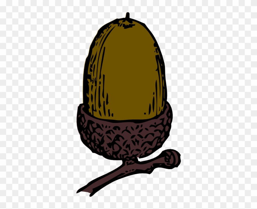 Acorn Clip Art - Acorn Clip Art #909266