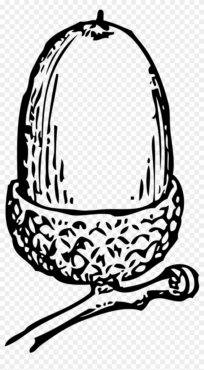 Acorn - Clipart - Black - And - White - Acorn Clip Art #909271