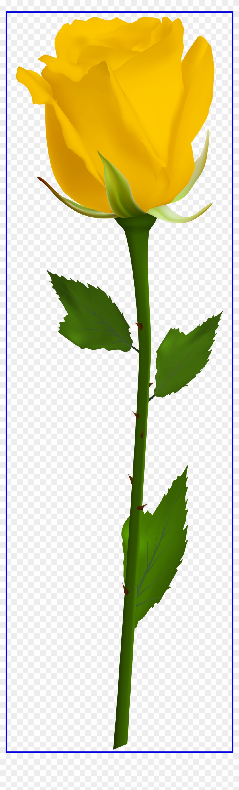 Marvelous Pin By Solsticio Solncestojanie On Primavera - Single White Rose Png #910756