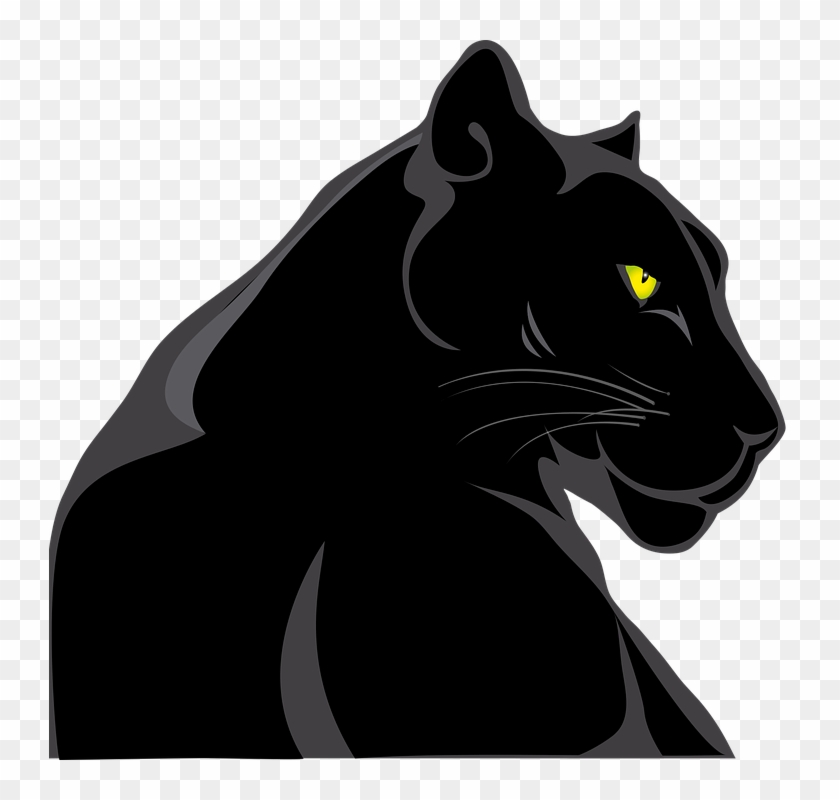 Panther Hewan Kucing - Animal Pantera Png #911042