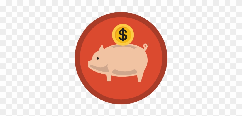 Domestic Pig #911492