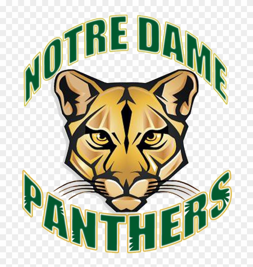 Despidamos A La Clase Notre Dame - Vinyl Stickers Decals Cougar Head Garage Home Window #912887