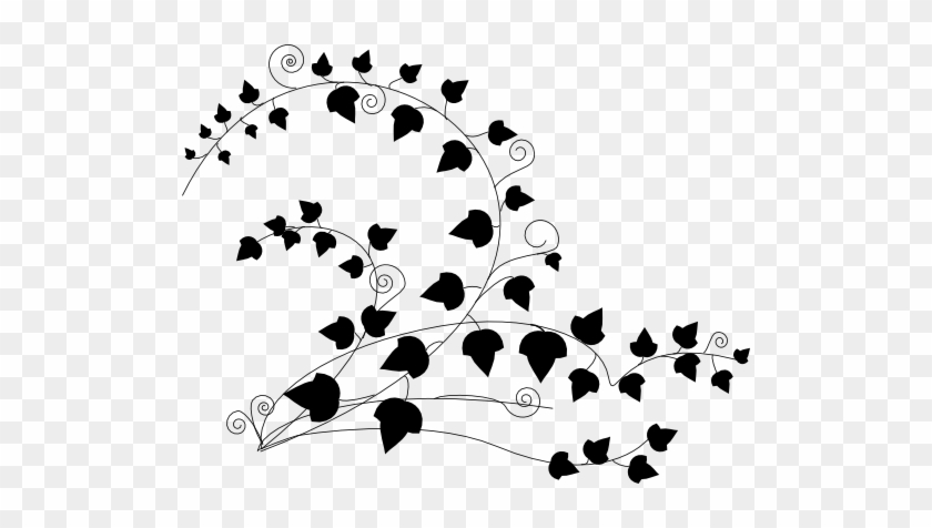 Ivy Clip Art Free - Ivy Png Black And Whte #913460