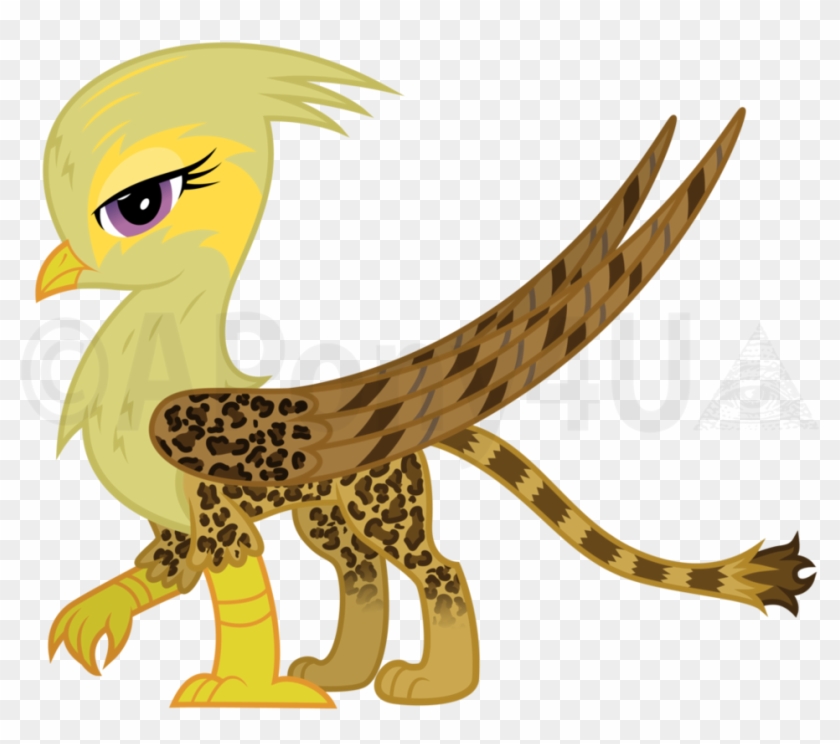 Mlp Griffon Oc Maker Imgkid - Mlp Griffen Oc #914114