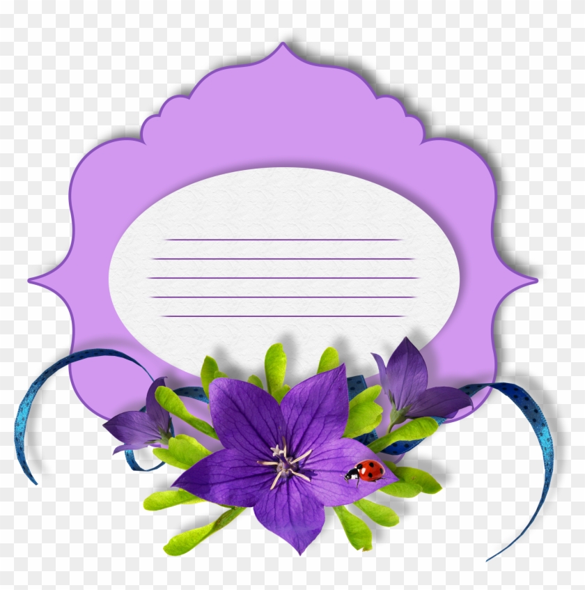 #paper Background 🌌 - Viola #914806
