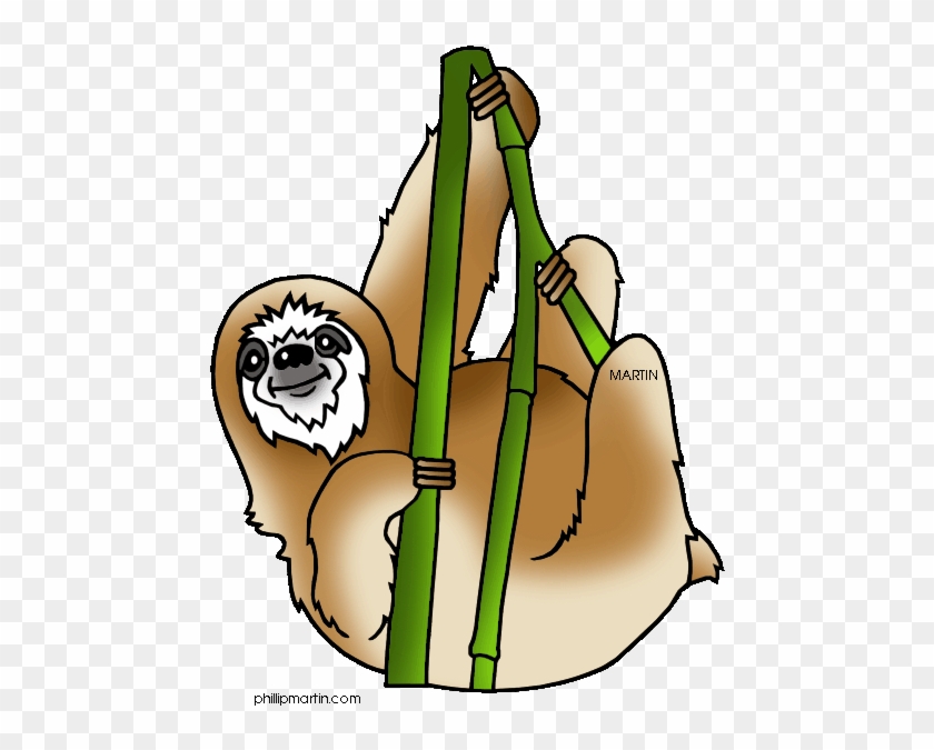 Rainforest Animals Clipart - Amazon Rainforest Clip Art #918837