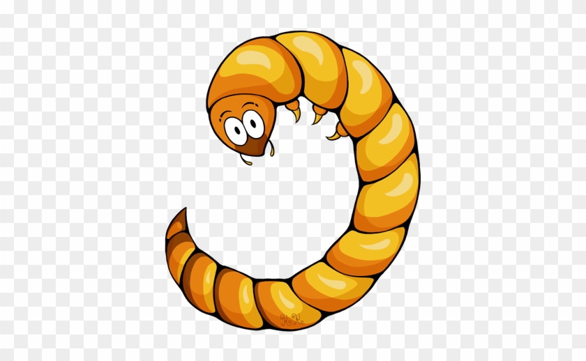 100 Mealworms Large Order - Mealworm Clipart Transparent #920694