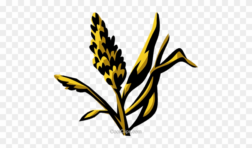 Marsh Grass Royalty Free Vector Clip Art Illustration - Marsh Grass #920935