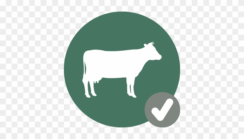 Cattle #921013